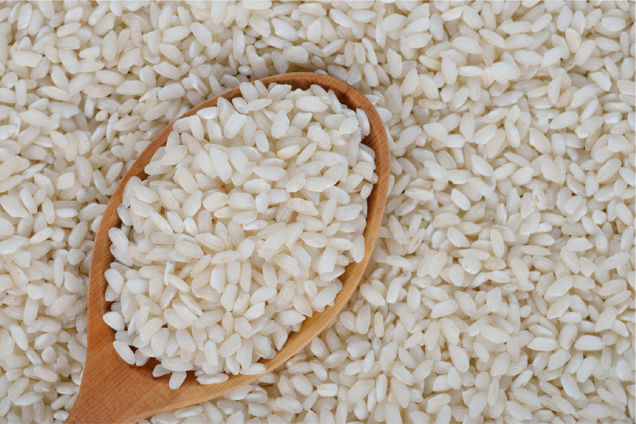 Arborio Rice